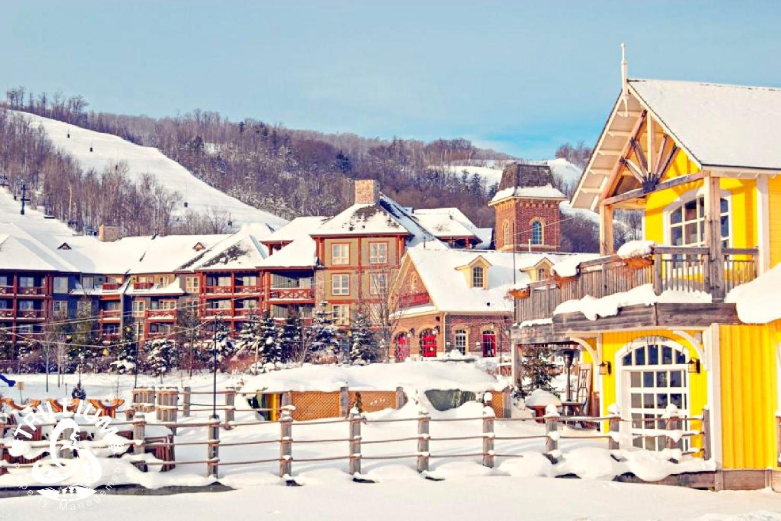 Blue Mountain, Collingwood - Loft Condo, Sleeps 4 Blue Mountains Eksteriør billede