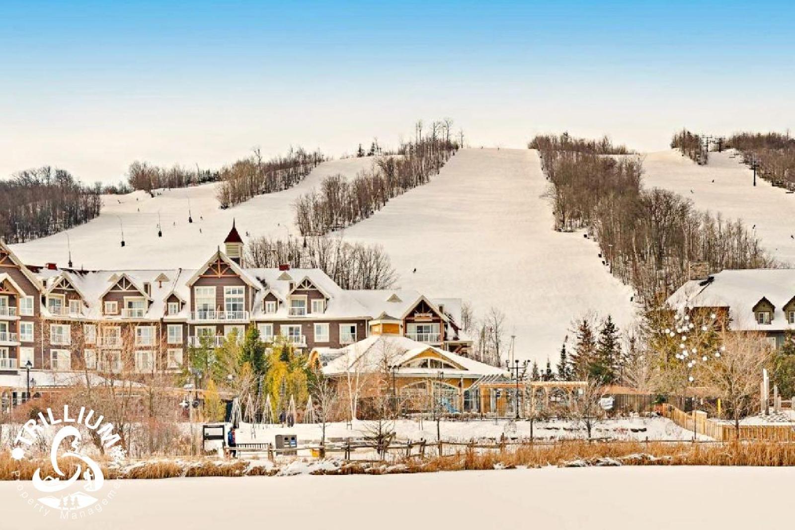 Blue Mountain, Collingwood - Loft Condo, Sleeps 4 Blue Mountains Eksteriør billede